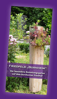 Friedfeld „Bornheim“